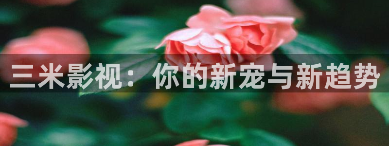 爱丫爱丫影院最新电视剧：三米影视：你的新宠与新趋势