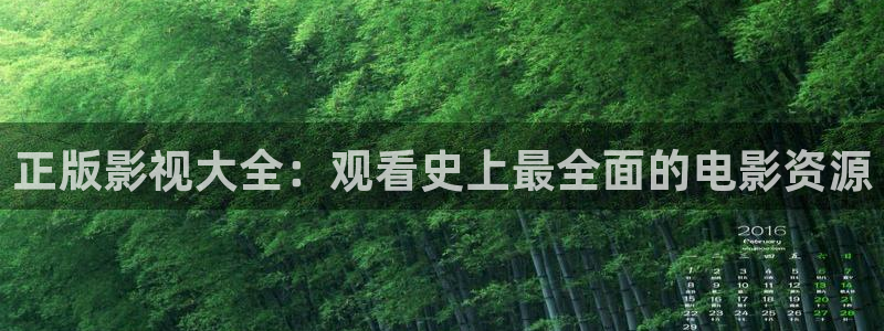 爱丫爱丫影院电视剧免费观看：正版影视大全：观看史上最全面的电影资源