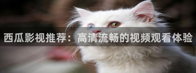 国产剧爱丫爱丫免费观看：西瓜影视推荐：高清流畅的视频观看体验