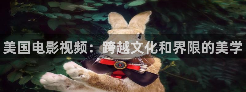 爱丫爱丫兄弟在线影院电视剧：美国电影视频：跨越文化和界限的美学