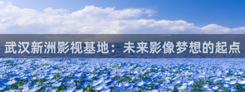 爱丫爱丫在线影院入口：武汉新洲影视基地：未来影像梦想的起点