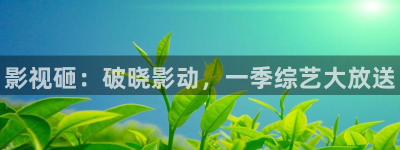 爱丫爱丫在线：影视砸：破晓影动，一季综艺大放送