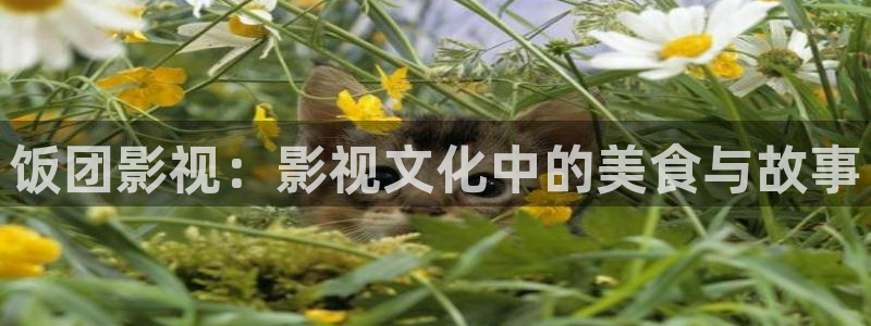 爱丫爱丫电影官网：饭团影视：影视文化中的美食与故事