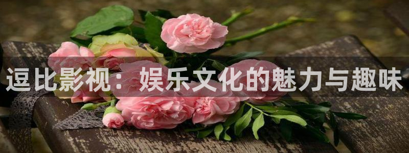 爱丫爱丫电视剧免费看：逗比影视：娱乐文化的魅力与趣味