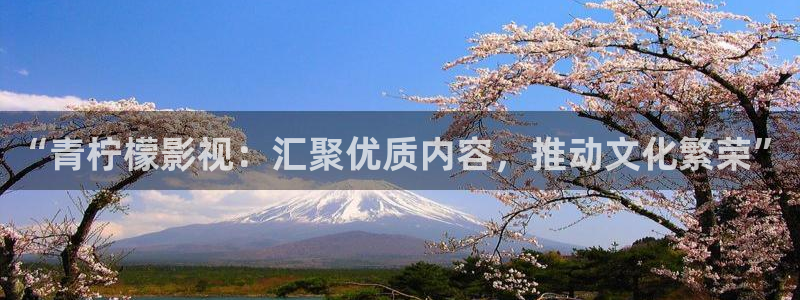 爱丫爱丫免费高清电视剧大全：“青柠檬影视：汇聚优质内容，推动文化繁荣”